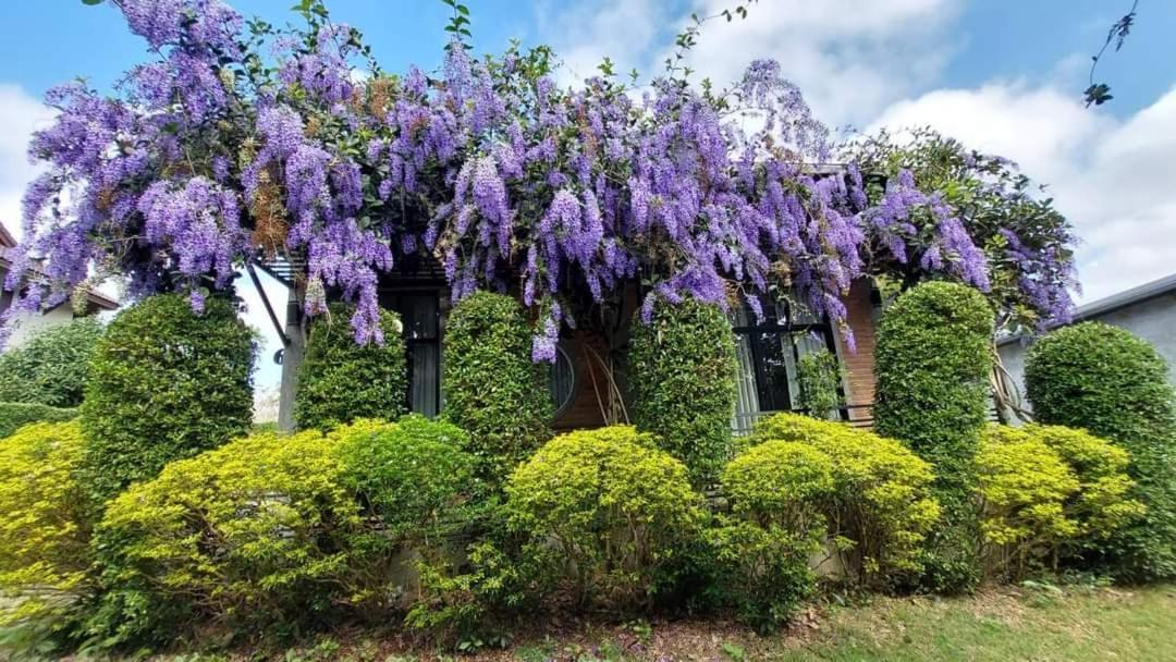 Casa Foresta Nan Bagian luar foto